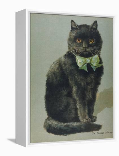 Handsome Black Cat Sir Thomas Mouser Sits Posed with a Green Ribbon Around His Neck-null-Framed Premier Image Canvas
