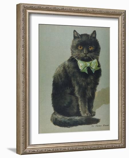 Handsome Black Cat Sir Thomas Mouser Sits Posed with a Green Ribbon Around His Neck-null-Framed Photographic Print