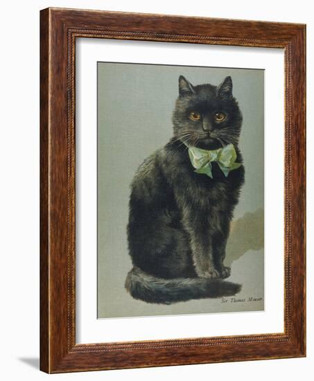 Handsome Black Cat Sir Thomas Mouser Sits Posed with a Green Ribbon Around His Neck-null-Framed Photographic Print