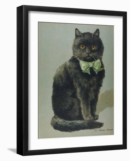 Handsome Black Cat Sir Thomas Mouser Sits Posed with a Green Ribbon Around His Neck-null-Framed Photographic Print