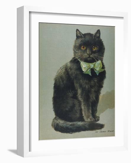 Handsome Black Cat Sir Thomas Mouser Sits Posed with a Green Ribbon Around His Neck-null-Framed Photographic Print