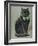 Handsome Black Cat Sir Thomas Mouser Sits Posed with a Green Ribbon Around His Neck-null-Framed Photographic Print