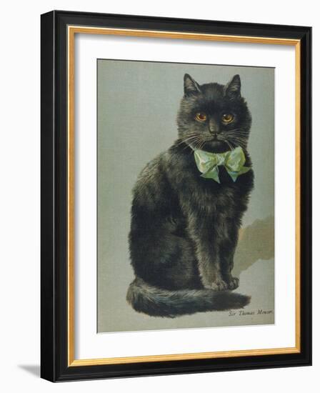 Handsome Black Cat Sir Thomas Mouser Sits Posed with a Green Ribbon Around His Neck-null-Framed Photographic Print