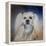 Handsome Lhasa Apso-Jai Johnson-Framed Premier Image Canvas