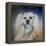 Handsome Lhasa Apso-Jai Johnson-Framed Premier Image Canvas