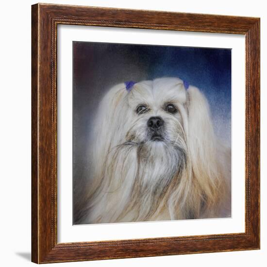 Handsome Lhasa Apso-Jai Johnson-Framed Giclee Print