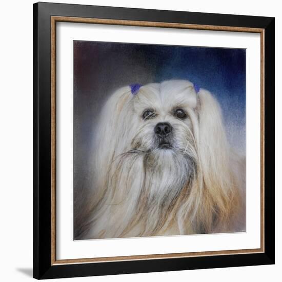 Handsome Lhasa Apso-Jai Johnson-Framed Giclee Print