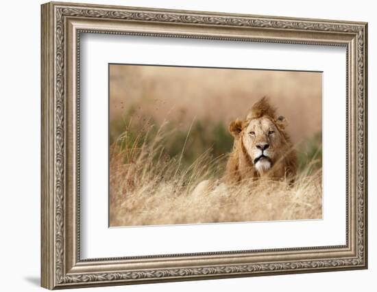 Handsome!-Ali Khataw-Framed Photographic Print