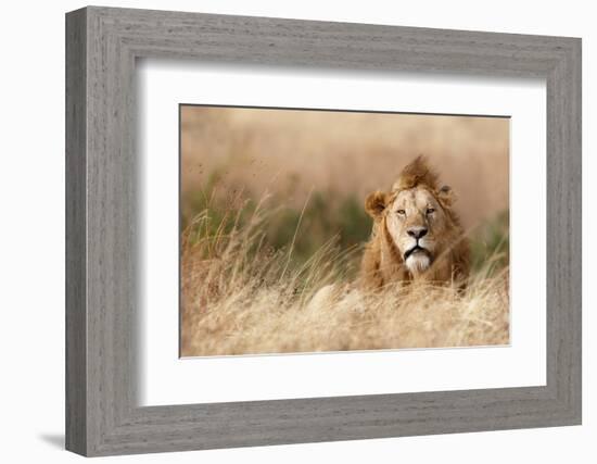 Handsome!-Ali Khataw-Framed Photographic Print