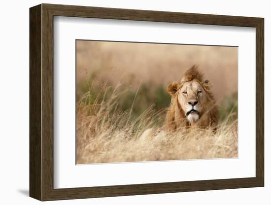 Handsome!-Ali Khataw-Framed Photographic Print