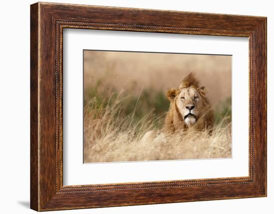 Handsome!-Ali Khataw-Framed Photographic Print