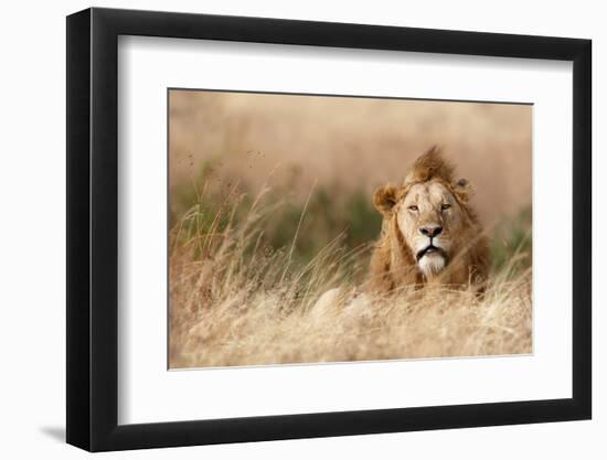 Handsome!-Ali Khataw-Framed Photographic Print