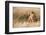 Handsome!-Ali Khataw-Framed Photographic Print