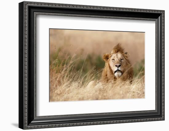 Handsome!-Ali Khataw-Framed Photographic Print