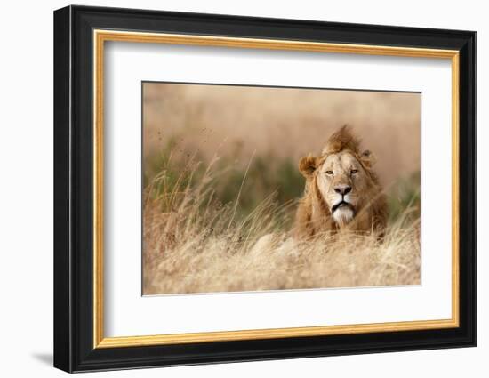 Handsome!-Ali Khataw-Framed Photographic Print