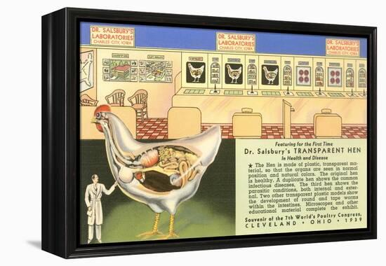 Handy Transparent Hen Model-null-Framed Stretched Canvas