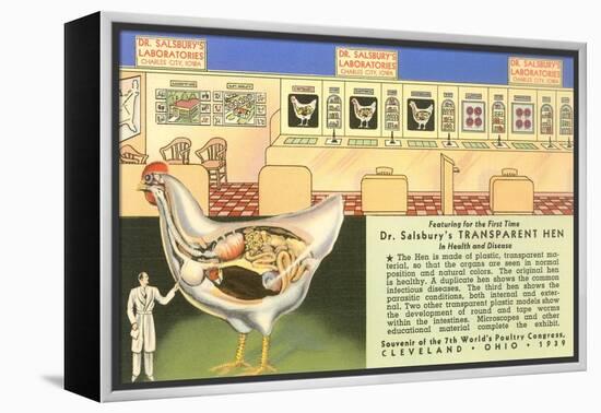 Handy Transparent Hen Model-null-Framed Stretched Canvas