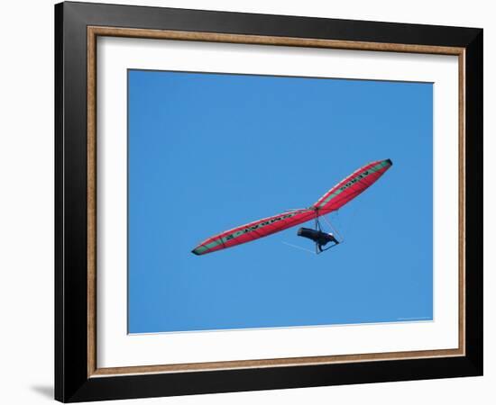 Hang glider, Otago Peninsula, South Island, New Zealand-David Wall-Framed Photographic Print