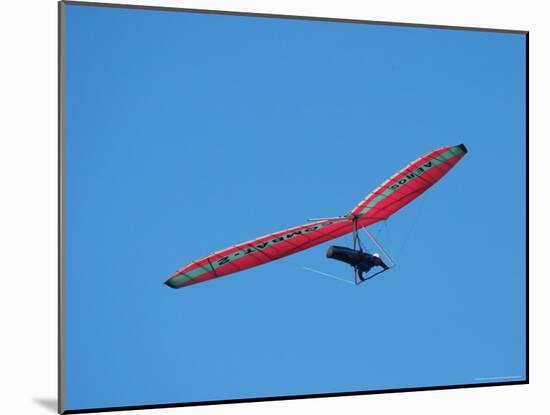 Hang glider, Otago Peninsula, South Island, New Zealand-David Wall-Mounted Photographic Print