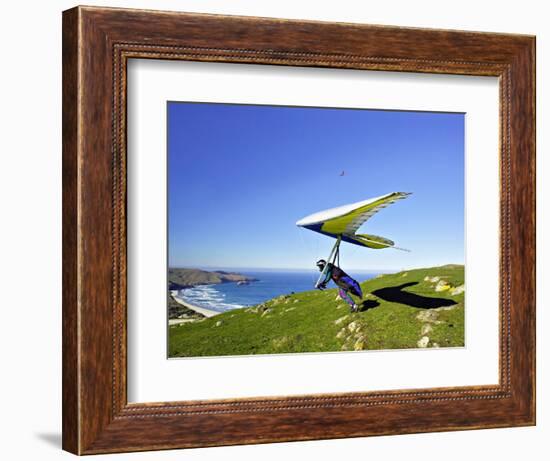 Hang Glider, Otago Peninsula, South Island, New Zealand-David Wall-Framed Photographic Print