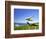 Hang Glider, Otago Peninsula, South Island, New Zealand-David Wall-Framed Photographic Print