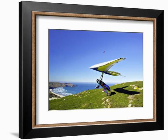 Hang Glider, Otago Peninsula, South Island, New Zealand-David Wall-Framed Photographic Print