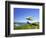 Hang Glider, Otago Peninsula, South Island, New Zealand-David Wall-Framed Photographic Print