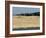 Hang Gliders over the Dune Du Pyla, Bay of Arcachon, Cote D'Argent, Gironde, Aquitaine, France-Groenendijk Peter-Framed Photographic Print