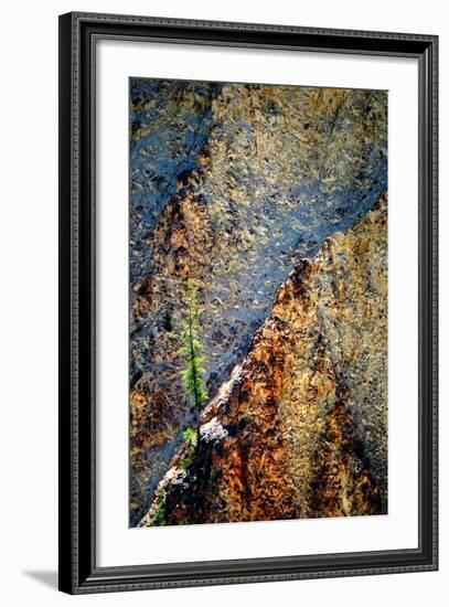 Hang On-Ursula Abresch-Framed Photographic Print