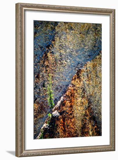 Hang On-Ursula Abresch-Framed Photographic Print