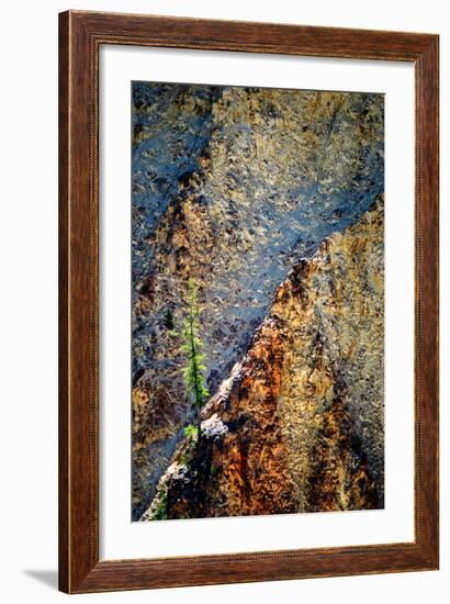 Hang On-Ursula Abresch-Framed Photographic Print