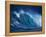 Hang Ten-Art Wolfe-Framed Premier Image Canvas