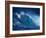 Hang Ten-Art Wolfe-Framed Photographic Print