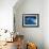 Hang Ten-Art Wolfe-Framed Photographic Print displayed on a wall