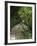 Hanging Bridges a Walk Through the Rainforest, Arenal, Costa Rica-Robert Harding-Framed Photographic Print