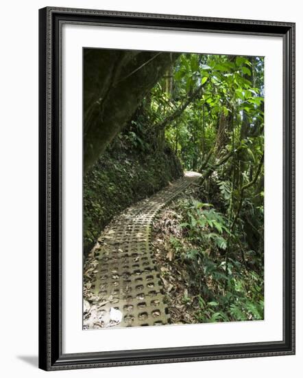 Hanging Bridges a Walk Through the Rainforest, Arenal, Costa Rica-Robert Harding-Framed Photographic Print