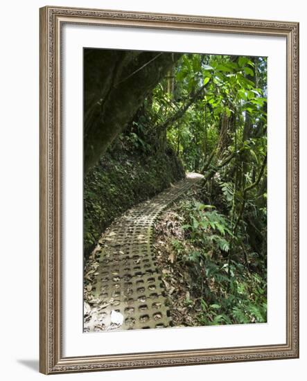 Hanging Bridges a Walk Through the Rainforest, Arenal, Costa Rica-Robert Harding-Framed Photographic Print