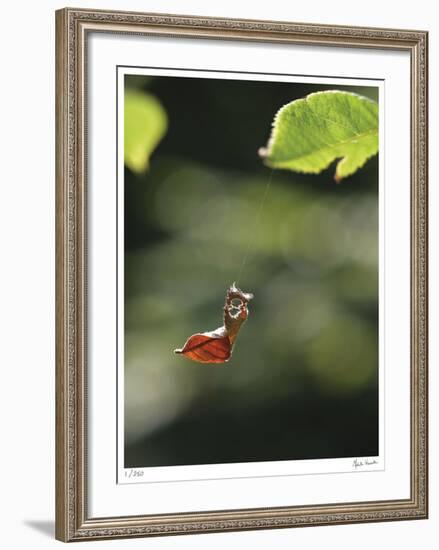 Hanging by a Thread-Michelle Wermuth-Framed Giclee Print