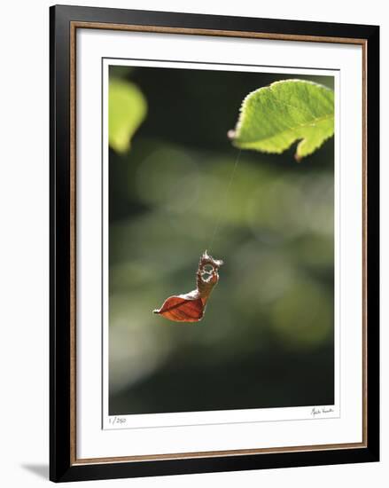 Hanging by a Thread-Michelle Wermuth-Framed Giclee Print