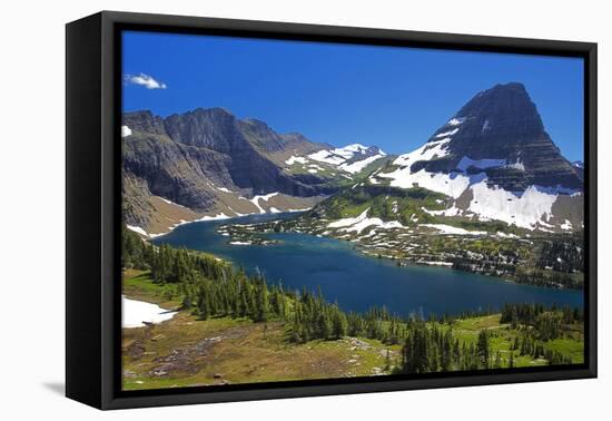 Hanging Gardens, Logan Pass, Glacier National Park, Montana, USA-Charles Gurche-Framed Premier Image Canvas