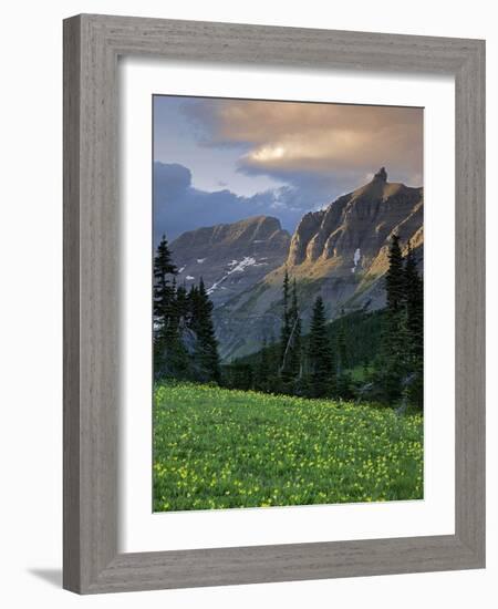 Hanging Gardens, Logan Pass, Glacier National Park, Montana, USA-Charles Gurche-Framed Photographic Print