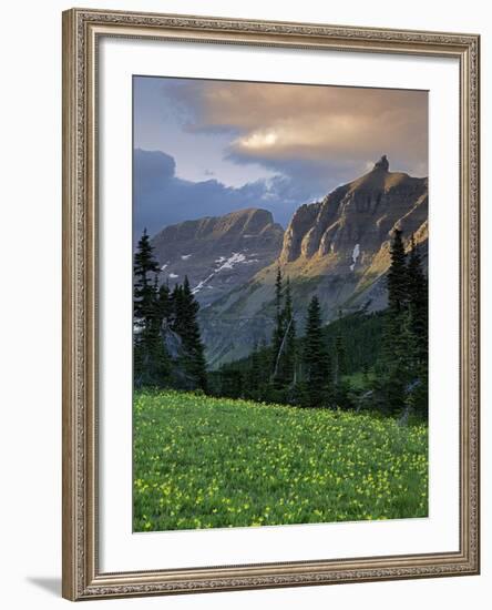 Hanging Gardens, Logan Pass, Glacier National Park, Montana, USA-Charles Gurche-Framed Photographic Print