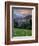 Hanging Gardens, Logan Pass, Glacier National Park, Montana, USA-Charles Gurche-Framed Photographic Print