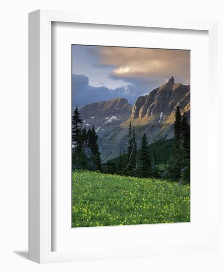 Hanging Gardens, Logan Pass, Glacier National Park, Montana, USA-Charles Gurche-Framed Photographic Print