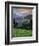 Hanging Gardens, Logan Pass, Glacier National Park, Montana, USA-Charles Gurche-Framed Photographic Print