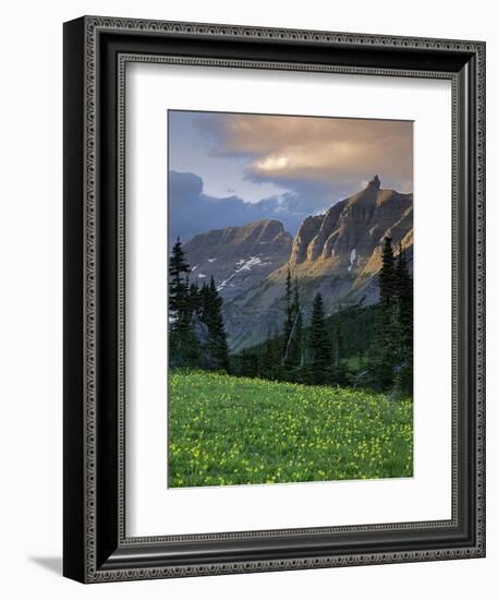 Hanging Gardens, Logan Pass, Glacier National Park, Montana, USA-Charles Gurche-Framed Photographic Print