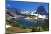 Hanging Gardens, Logan Pass, Glacier National Park, Montana, USA-Charles Gurche-Mounted Photographic Print