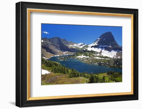 Hanging Gardens, Logan Pass, Glacier National Park, Montana, USA-Charles Gurche-Framed Photographic Print