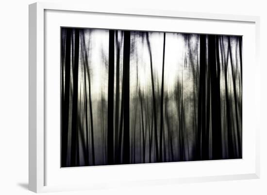 Hanging in the Branches-Rory Garforth-Framed Photographic Print