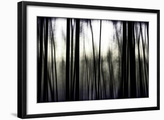 Hanging in the Branches-Rory Garforth-Framed Photographic Print